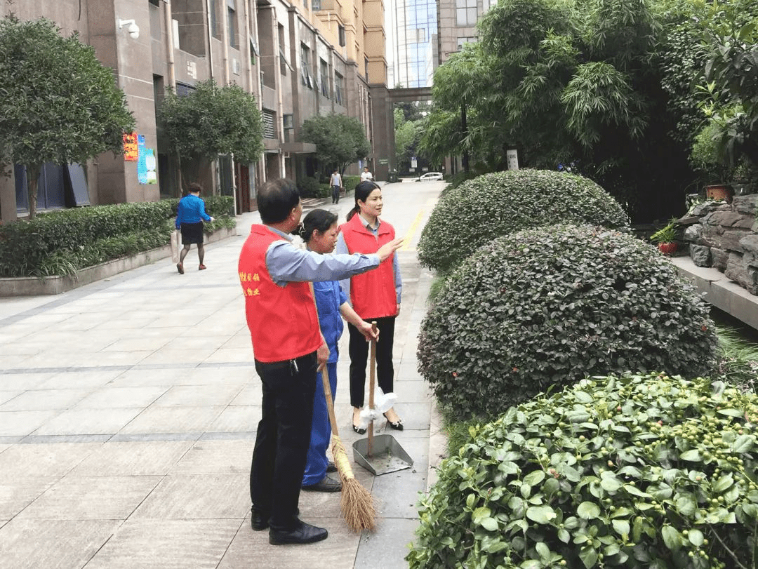 浙江 党建引领创文明小区鼓足干劲向国庆献礼 中国非公企业党建网手机版